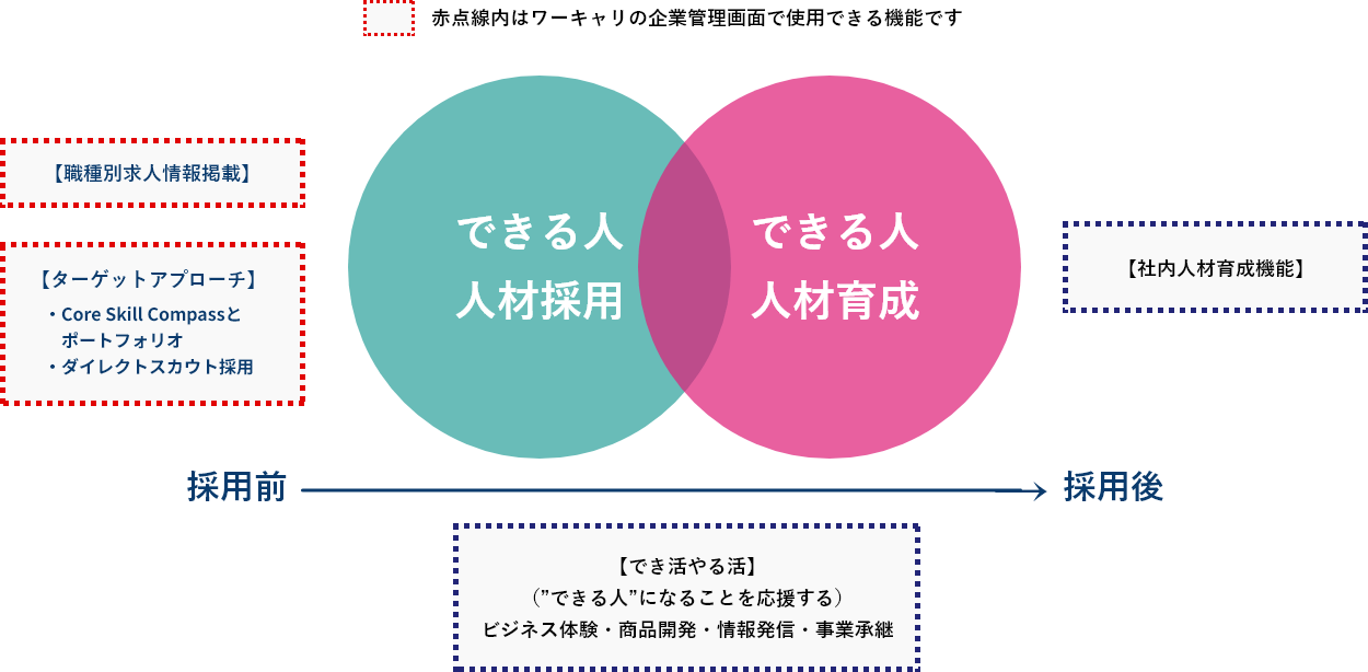 ワーキャリは人材の採用から育成までをサポートする関係図